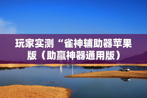 玩家实测“雀神辅助器苹果版（助赢神器通用版）