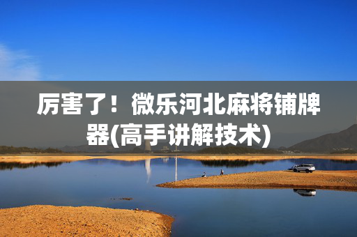 厉害了！微乐河北麻将铺牌器(高手讲解技术)