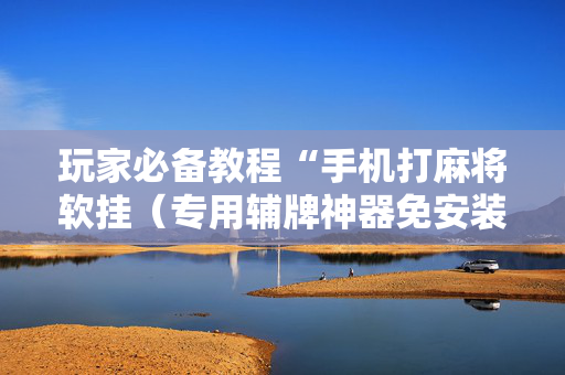 玩家必备教程“手机打麻将软挂（专用辅牌神器免安装）