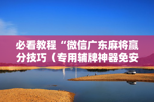 必看教程“微信广东麻将赢分技巧（专用辅牌神器免安装）