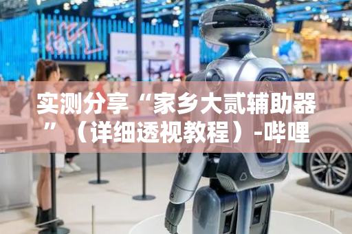 实测分享“家乡大贰辅助器”（详细透视教程）-哔哩哔哩