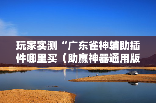 玩家实测“广东雀神辅助插件哪里买（助赢神器通用版）
