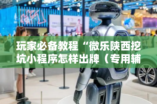 玩家必备教程“微乐陕西挖坑小程序怎样出牌（专用辅牌神器免安装）