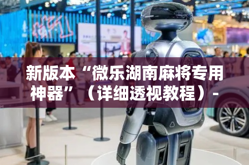 新版本“微乐湖南麻将专用神器”（详细透视教程）-哔哩哔哩