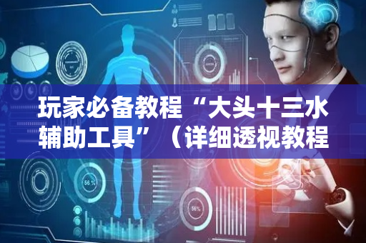 玩家必备教程“大头十三水辅助工具”（详细透视教程）-哔哩哔哩