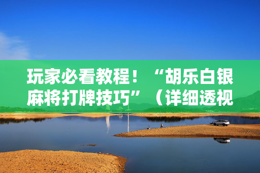 玩家必看教程！“胡乐白银麻将打牌技巧”（详细透视教程）-哔哩哔哩