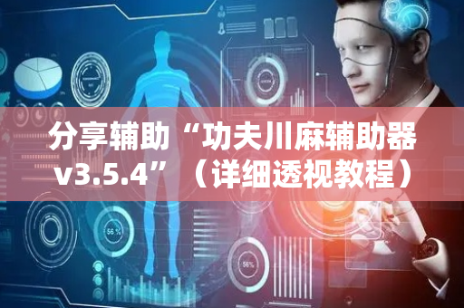 分享辅助“功夫川麻辅助器v3.5.4”（详细透视教程）-哔哩哔哩