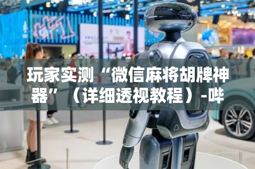 玩家实测“微信麻将胡牌神器”（详细透视教程）-哔哩哔哩
