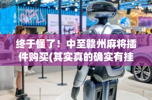 终于懂了！中至赣州麻将插件购买(其实真的确实有挂)