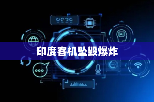 印度客机坠毁爆炸