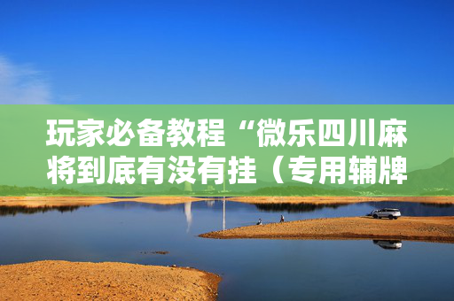 玩家必备教程“微乐四川麻将到底有没有挂（专用辅牌神器免安装）
