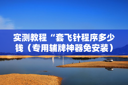 实测教程“套飞针程序多少钱（专用辅牌神器免安装）