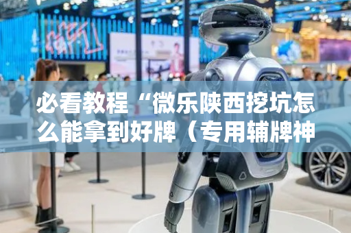 必看教程“微乐陕西挖坑怎么能拿到好牌（专用辅牌神器免安装）