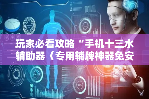 玩家必看攻略“手机十三水辅助器（专用辅牌神器免安装）