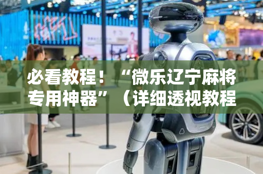 必看教程！“微乐辽宁麻将专用神器”（详细透视教程）-哔哩哔哩