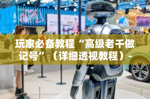 玩家必备教程“高级老千做记号”（详细透视教程）-哔哩哔哩