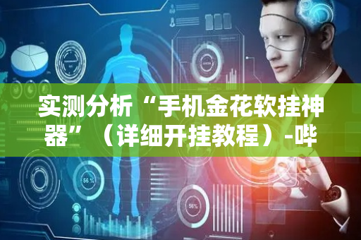 实测分析“手机金花软挂神器”（详细开挂教程）-哔哩哔哩