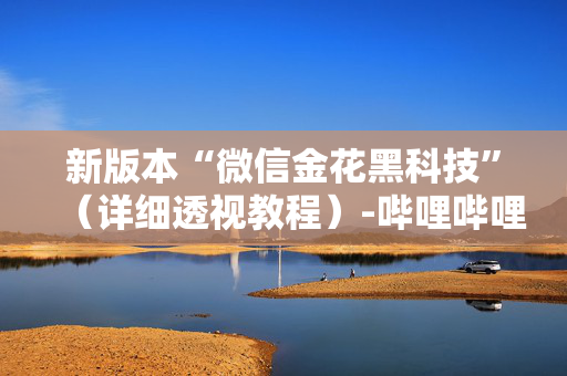 新版本“微信金花黑科技”（详细透视教程）-哔哩哔哩