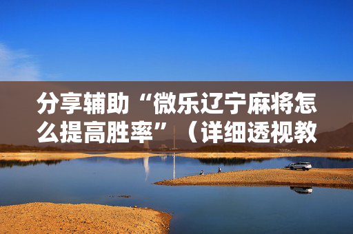 分享辅助“微乐辽宁麻将怎么提高胜率”（详细透视教程）-哔哩哔哩