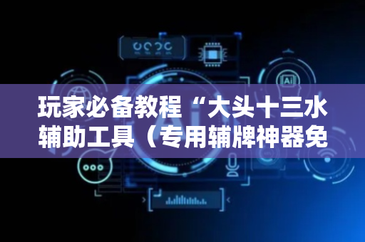 玩家必备教程“大头十三水辅助工具（专用辅牌神器免安装）