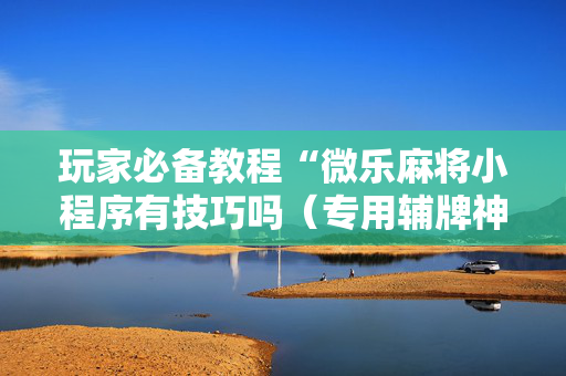 玩家必备教程“微乐麻将小程序有技巧吗（专用辅牌神器免安装）