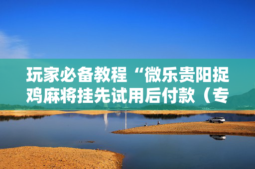 玩家必备教程“微乐贵阳捉鸡麻将挂先试用后付款（专用辅牌神器免安装）