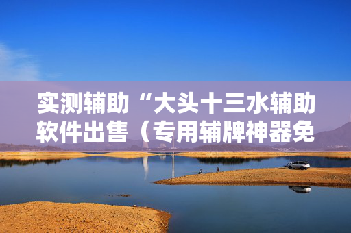 实测辅助“大头十三水辅助软件出售（专用辅牌神器免安装）