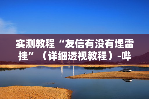 实测教程“友信有没有埋雷挂”（详细透视教程）-哔哩哔哩