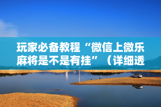 玩家必备教程“微信上微乐麻将是不是有挂”（详细透视教程）-哔哩哔哩