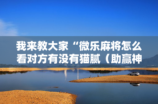 我来教大家“微乐麻将怎么看对方有没有猫腻（助赢神器通用版）