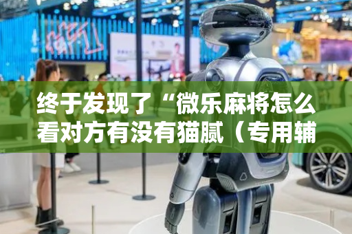终于发现了“微乐麻将怎么看对方有没有猫腻（专用辅牌神器免安装）