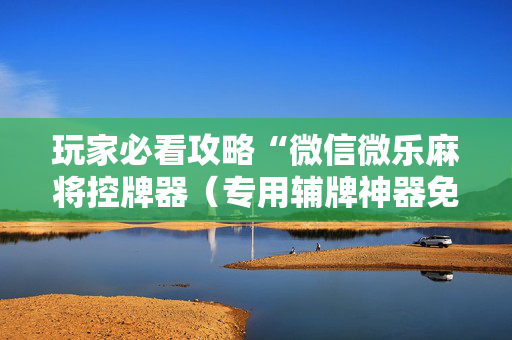 玩家必看攻略“微信微乐麻将控牌器（专用辅牌神器免安装）