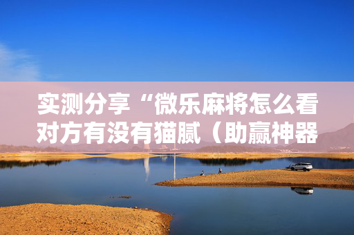 实测分享“微乐麻将怎么看对方有没有猫腻（助赢神器通用版）