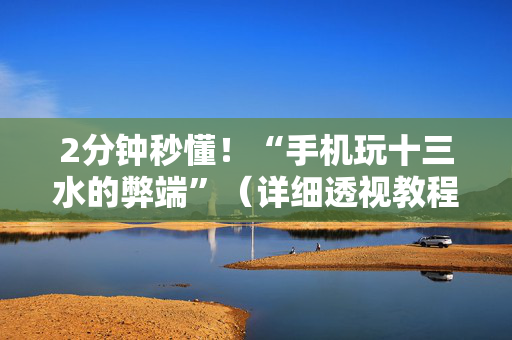 2分钟秒懂！“手机玩十三水的弊端”（详细透视教程）-哔哩哔哩