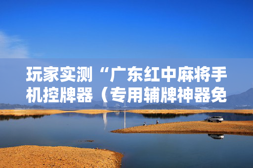 玩家实测“广东红中麻将手机控牌器（专用辅牌神器免安装）