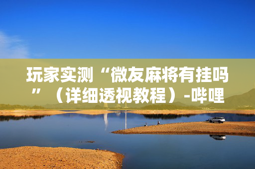 玩家实测“微友麻将有挂吗”（详细透视教程）-哔哩哔哩