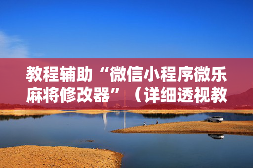 教程辅助“微信小程序微乐麻将修改器”（详细透视教程）-哔哩哔哩