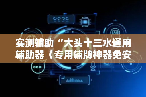 实测辅助“大头十三水通用辅助器（专用辅牌神器免安装）