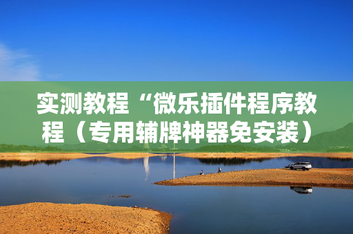 实测教程“微乐插件程序教程（专用辅牌神器免安装）