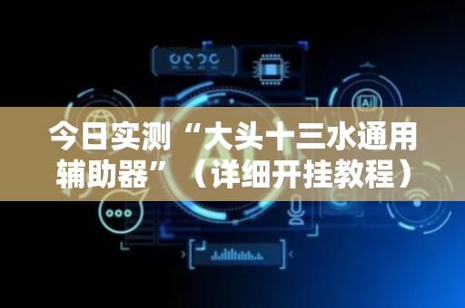 今日实测“大头十三水通用辅助器”（详细开挂教程）-哔哩哔哩