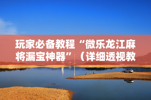 玩家必备教程“微乐龙江麻将漏宝神器”（详细透视教程）-哔哩哔哩