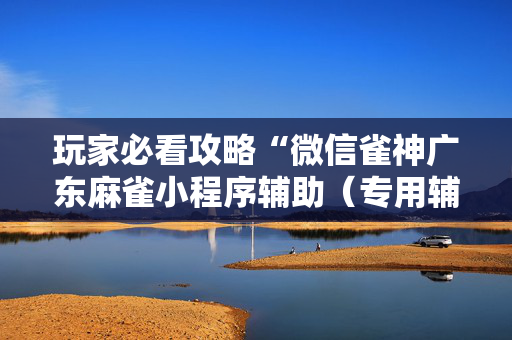 玩家必看攻略“微信雀神广东麻雀小程序辅助（专用辅牌神器免安装）