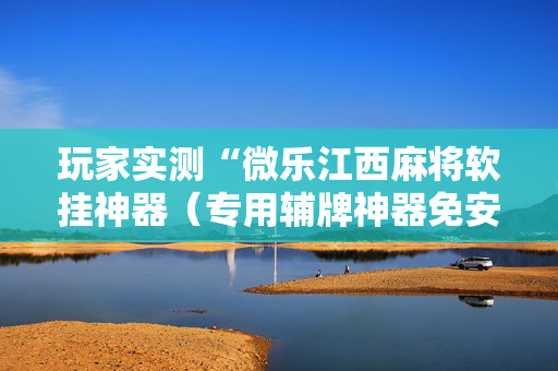 玩家实测“微乐江西麻将软挂神器（专用辅牌神器免安装）