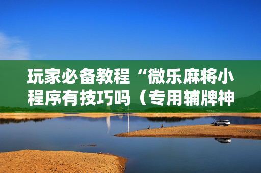 玩家必备教程“微乐麻将小程序有技巧吗（专用辅牌神器免安装）