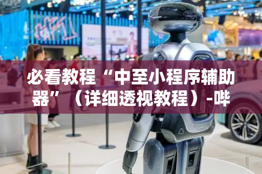 必看教程“中至小程序辅助器”（详细透视教程）-哔哩哔哩