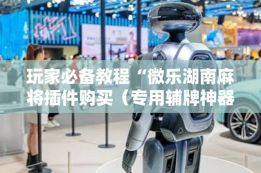 玩家必备教程“微乐湖南麻将插件购买（专用辅牌神器免安装）