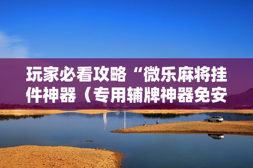 玩家必看攻略“微乐麻将挂件神器（专用辅牌神器免安装）