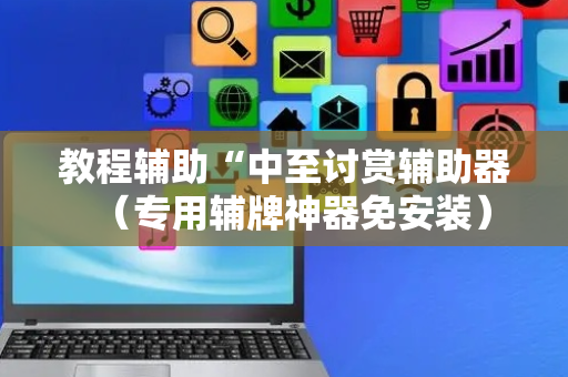 教程辅助“中至讨赏辅助器（专用辅牌神器免安装）