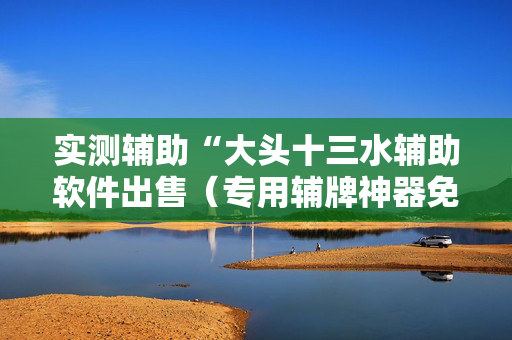 实测辅助“大头十三水辅助软件出售（专用辅牌神器免安装）