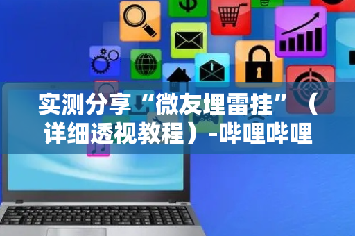 实测分享“微友埋雷挂”（详细透视教程）-哔哩哔哩